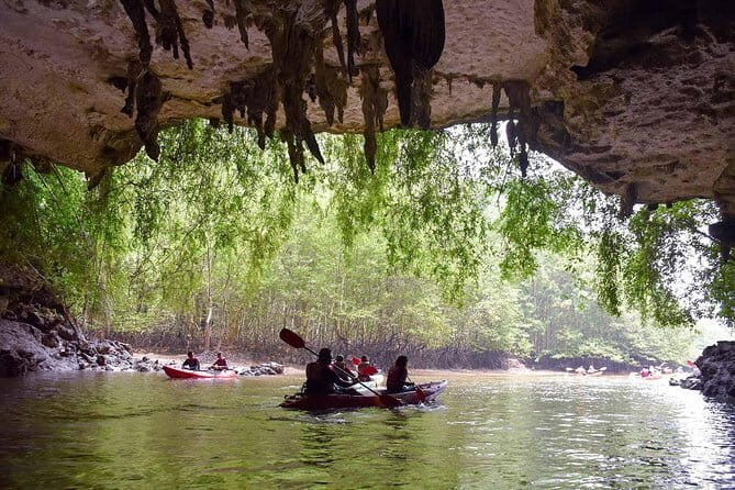 Phi Phi, Maya and Bamboo Islands Day Tour by Speedboat in Krabi - Snorkeling reality check: what you get and what can change