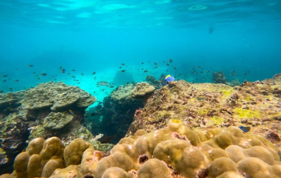 Phi Phi: Morning Speedboat Tour to Maya Bay with Snorkel - Why sunrise timing changes everything at Maya Bay