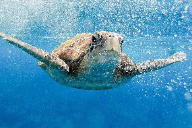 Phi Phi Tour from Krabi , Semi-Private Tour only 12 Guests - What you’ll love most: guide, time, and comfort