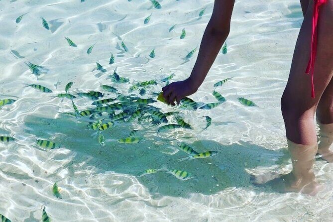 Private Longtail Boat Tour to Hong Islands - Lunch on the beach: one of the best value parts of the day
