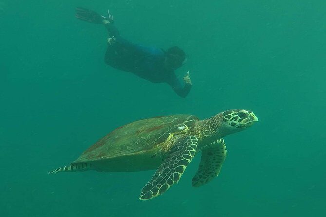Private Phi Phi & 4 Islands Sunset Cruise by Speedboat - from Krabi - Who this private Phi Phi sunset cruise suits best