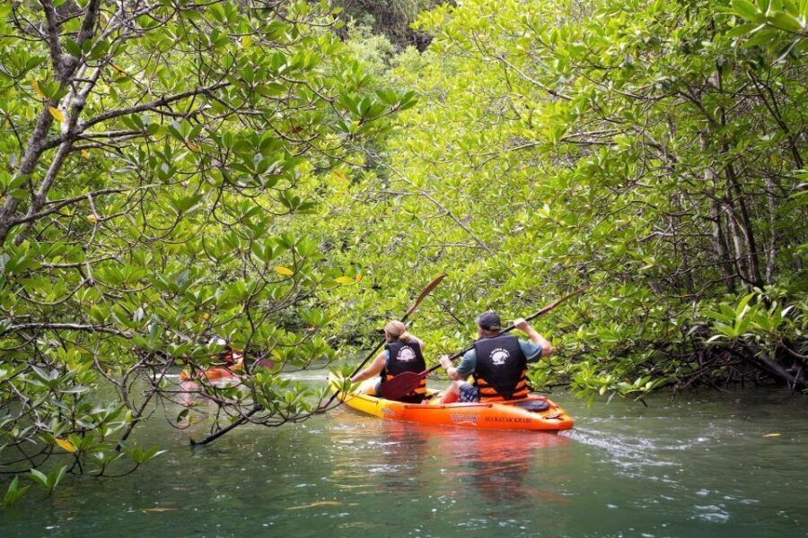 Sea Kayaking in Ao Thalane & Optional Full-Day Hong Island - Wildlife Chances: Kingfishers, Little Herons, and Macaques