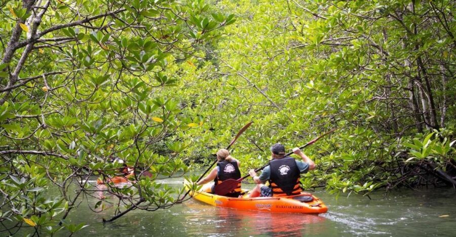 Sea Kayaking in Ao Thalane & Optional Full-Day Hong Island - Duration, Group Size, and the Pace That Makes It Worth It