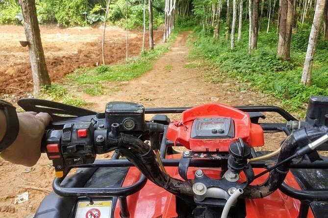 Thrilling Zipline Adventures at Thai'd Up in Krabi's Lush Jungle - Flying through the rainforest: what Zone A feels like