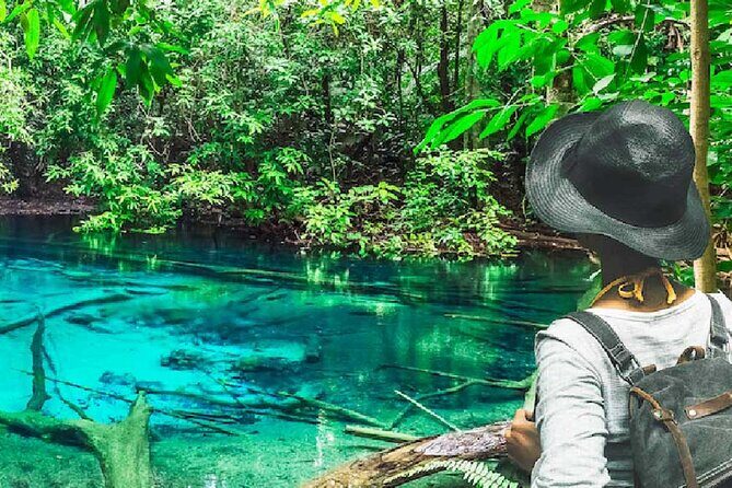 Tiger Cave Temple, Emerald Pool & Hot Springs Tour from Krabi - Key highlights I’d prioritize