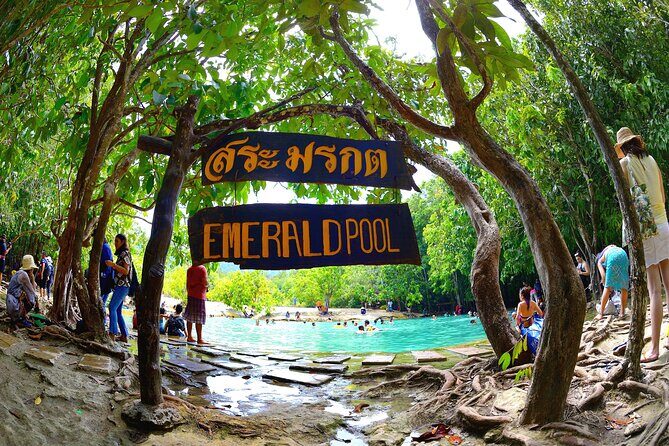 Tiger Cave Temple, Emerald Pool & Hot Springs Tour from Krabi - From Krabi at 8:00 am: how the day actually flows