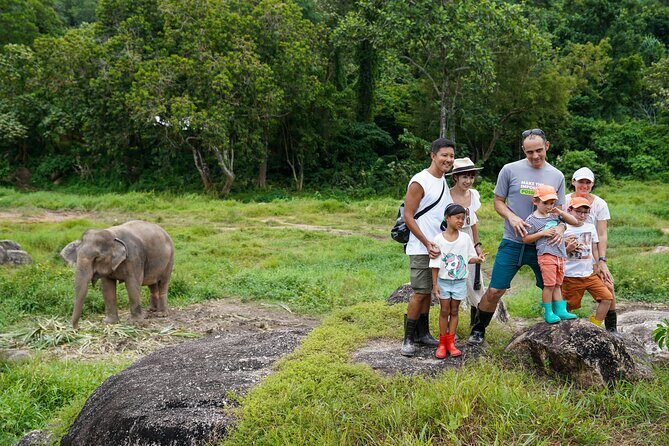Walk and Feed at Bukit Elephant Park Phuket - Price and Value: What $51.92 Is Actually Buying