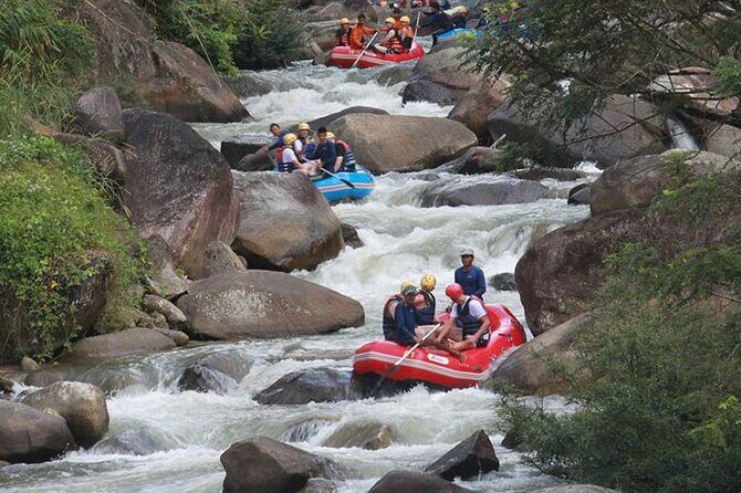 White Water Rafting and Waterfall Tour From Krabi - What this tour feels like in a real day
